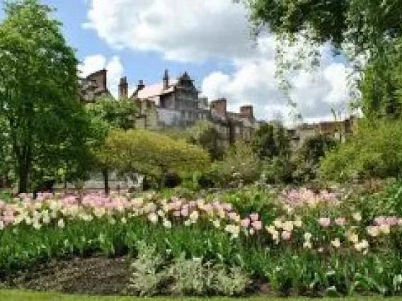 Lush garden filled with pink and white tulips in front of a historic-style building under a blue sky with scattered clouds.